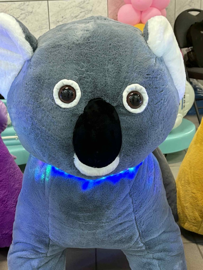 Koala ride-on