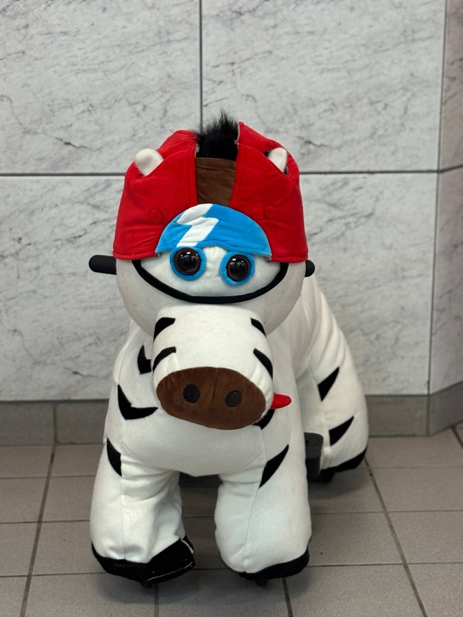 Zippy Zebra ride-on