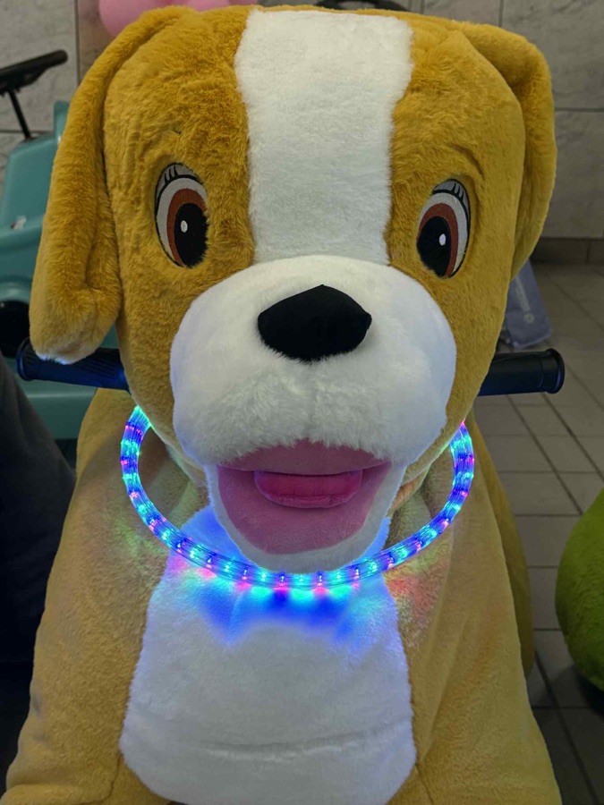 Zoomy Doggy ride-on