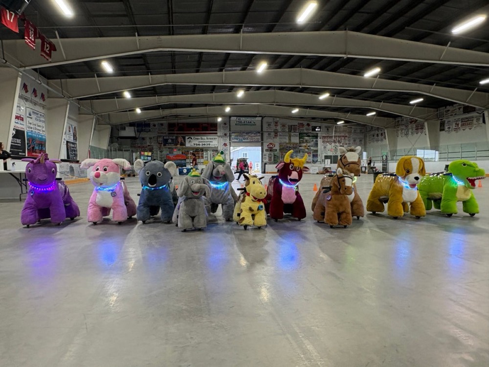 Ride-on animals lined up inside an arena