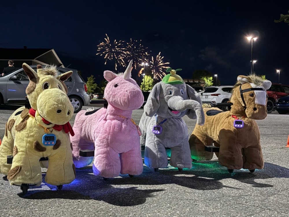 Ride-on animals lit up at night