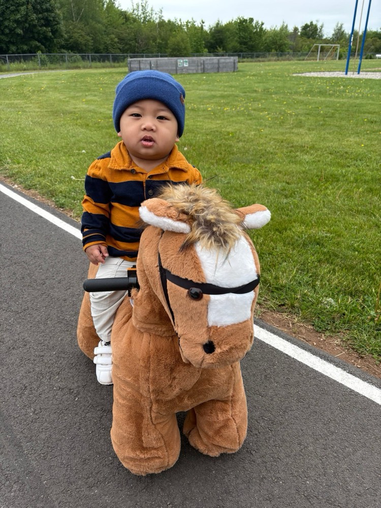 Toddler riding the horse on the grass