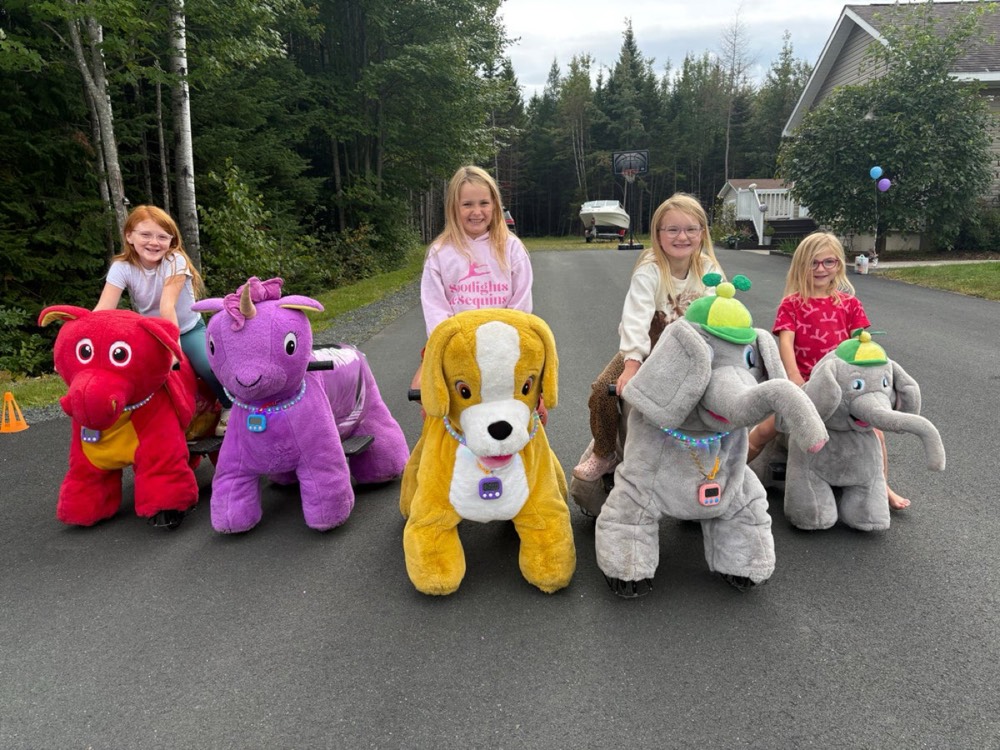 Kids lined up on ride-on animals outdoors